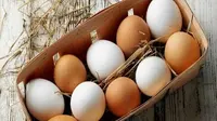 Karena beda pemahaman, memesan 1.500 butir telur malah datang 15.000 butir telur.