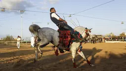 Pria Palestina berusaha bertahan saat menunggangi kudanya pada ajang Arabian Horse Show di Kota Gaza, Palestina (3/3). (AFP Photo / Mohammed Abed)