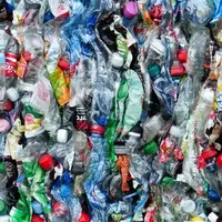 Ilustrasi sampah botol plastik (Pixabay.com)