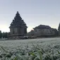 Embun es di kompleks Candi Arjuna, Dataran Tinggi Dieng, Banjarnegara, Jawa Tengah. (Foto: Liputan6.com/UPT Dieng/Muhamad Ridlo)