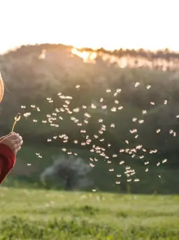 Interaksi singkat yang hangat di pagi hari bisa memberikan pengaruh besar bagi anak. Salah satunya melalui ritual “sunrise wish”, yaitu kebiasaan menyampaikan doa, harapan, atau pesan positif kepada anak sebelum mereka beraktivitas. (foto/dok: freepik/wirestock)
