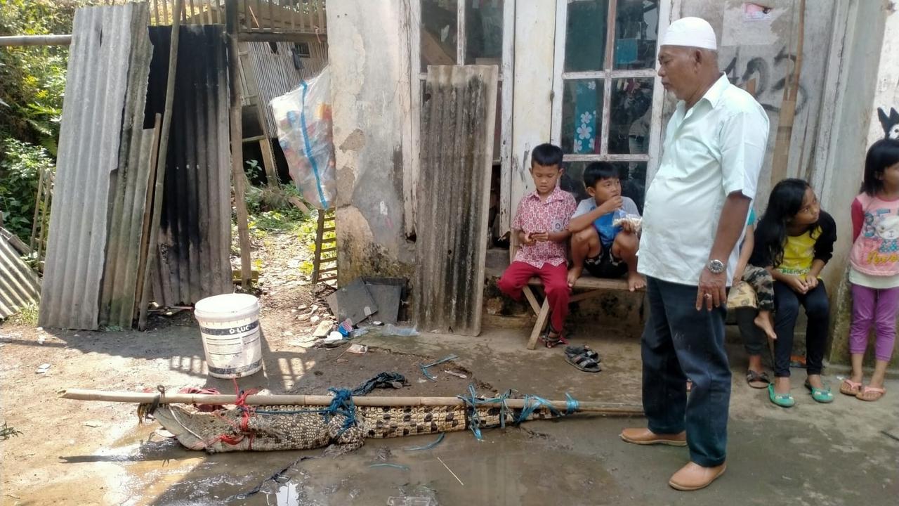 Warga Kampung Bantarjaya, Desa Bantarjaya, Kecamatan Rancabungur, Kabupaten Bogor, digegerkan dengan penampakan buaya di aliran Sungai Cisadane, Rabu (10/8/2022) (Liputan6.com/Achmad Sudarno)