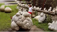 Aneh, Batu ini Bisa Berkembang Biak Seperti Manusia