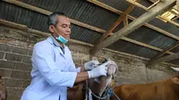 Teknik Hipnotis untuk Menyembelih Hewan Kurban agar Tenang