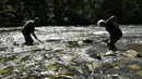Penambang emas amatir David Bruno (kiri) dan Jean Fournier mendulang emas di Sungai Salat, Mercenac, Prancis, 24 Agustus 2020. Pendulangan emas sangat diatur di Departemen Ariege Prancis dan dicadangkan untuk penambang emas amatir. (GEORGES GOBET/AFP)