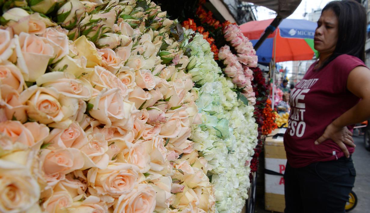 Seorang pembeli melihat bunga mawar yang dijajakan di sebuah kios sehari sebelum Valentine Day di Manila, Filipina, Rabu (13/2). Sudah tradisi di seluruh dunia, setiap hari valentine identik dengan pemberian bunga atau coklat. (TED ALJIBE/AFP)