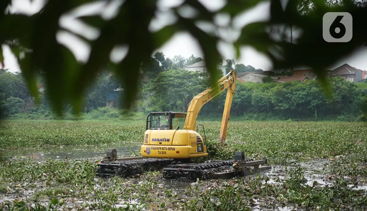 Petugas menggunakan alat berat untuk mengeruk eceng gondok yang memenuhi permukaan Setu Pengarengan, Depok, Jawa Barat, Senin (16/12/2019). Pengerukan dilakukan untuk membersihkan Setu Pengarengan dari eceng gondok yang tumbuh selama kurang lebih satu tahun terakhir. (Liputan6.com/Immanuel Antonius)