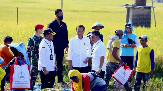 Mentan SYL Dampingi Presiden Jokowi saat Panen Raya di Ngawi