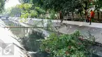 Petugas Dinas Kebersihan DKI Jakarta menebang pohon yang hampir roboh di atas saluran air Bundaran HI, Jakarta, Minggu (15/11/2015). Pohon tersebut dipangkas agar tidak menghambat sampah aliran air. (Liputan6.com/Yoppy Renato)