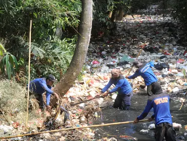 Petugas Satgas Sumber Daya Air Dinas PUPR Kota Depok melakukan pembersihan sampah sepanjang sekitar 500 meter yang memenuhi Kali Pelayangan di Kampung Utan Jaya, depok, Jawa Barat, Senin (12/8/2019). (merdeka.com/Arie Basuki)