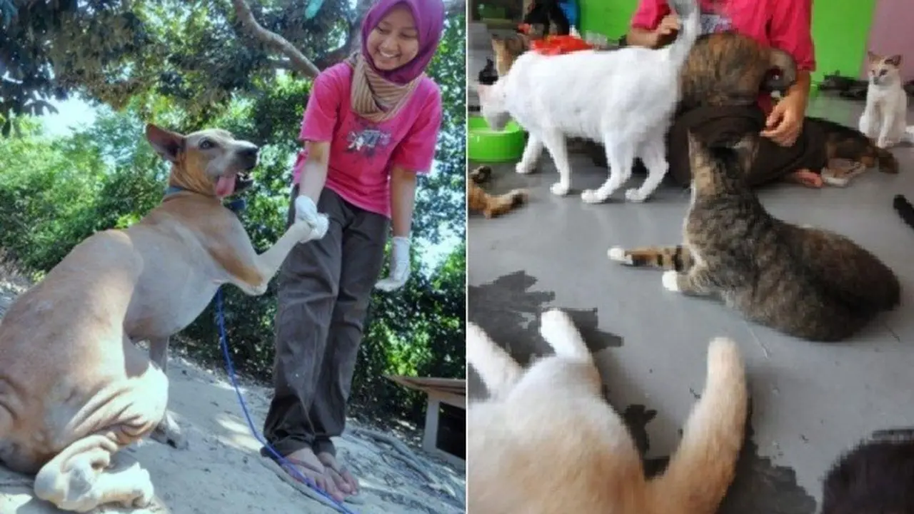 Pecinta Hewan