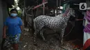 Seekor kuda saat dimandikan di Perkampungan kuda Rawa Badung, Jakarta, Rabu (1/9/2021). Pemeriksaan kuda diberikan kepada pemilik kuda delman untuk menyejahterakan di masa pandemi Covid-19 yang terdampak akibat PPKM di beberapa kawasan wisata. (merdeka.com/Imam Buhori)