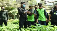 Menteri Pertanian, Syahrul Yasin Limpo saat meninjau pohon induk dan pembibitan alpukat pameling di Desa Wonorejo, Lawang, Kabupaten Malang (Kementan)
