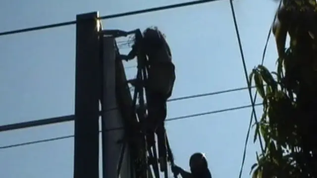 Pemuda Nekat Naik Baliho