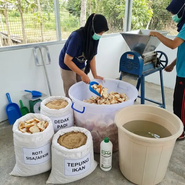 Cara Buat Pakan Ayam dari Roti Sisa