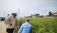 Petani Papua Terbang ke Gorontalo Demi Bertemu Prabowo dan Belajar Teknologi Pertanian