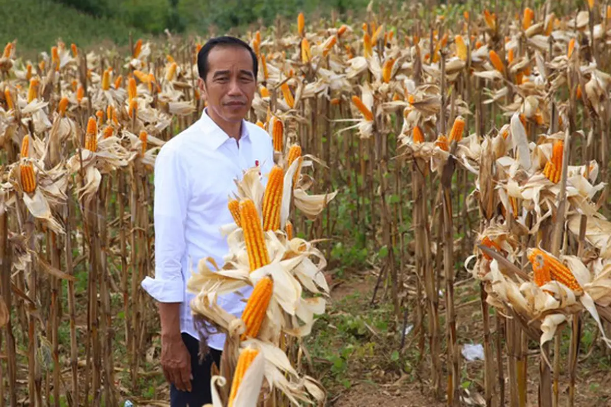 Presiden Jokowi