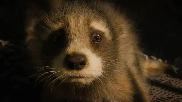 Rocket Guardians of the Galaxy Vol.3