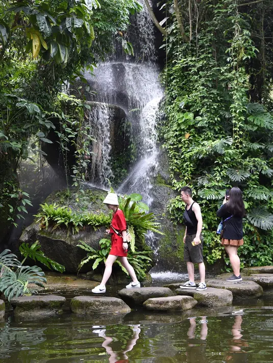 Para wisatawan mengunjungi Kebun Raya Xiamen di Xiamen, Provinsi Fujian, China tenggara, pada 9 September 2020. Kebun raya tersebut didirikan pada 1960 silam dan mencakup area seluas 4,93 kilometer persegi. (Xinhua/Jiang Kehong)