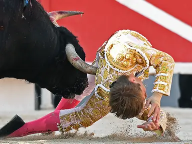 Seorang matador dari Prancis Andy Younes ditanduk oleh banteng Spanyol Jandilla saat kompetis Feria du Riz di Arles, Prancis (4/1). Matador muda ini tersungkur ke tanah usai ditanduk sang banteng. (AFP/Boris Horvat)
