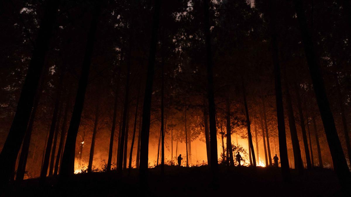 Kebakaran Hutan Chile, Otoritas Setempat Tetapkan Status Darurat