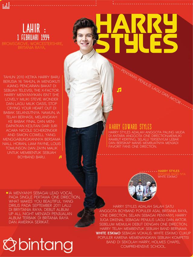 [Bintang] Music Bio Harry Styles One Direction