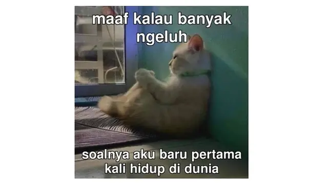 6 Meme Pakai Gambar Hewan Ini Kocak, Bikin Tepuk Jidat