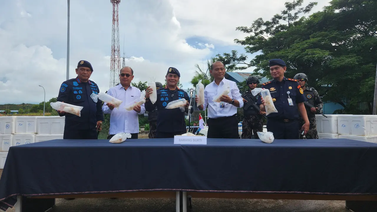 Dirjen PSDKP, Dr. Pung Nugroho Saksono memperlihatkan benih lobster dari sebuah kapal di dekat Pulau Bulam, Batam, Kepulauan Riau.
