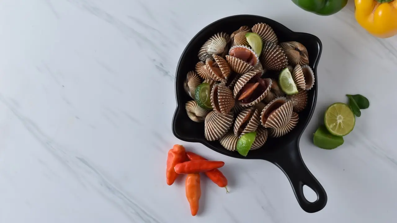 kerang dara