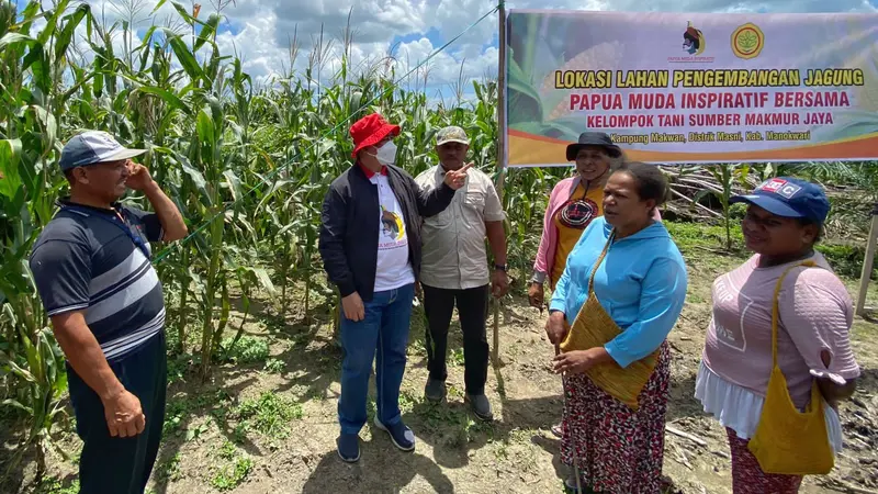Para petani di Kampung Makwan, Distrik Masni, Kabupaten Manokwari, Papua Barat menyatakan keinginannya untuk terus dibina oleh pemuda yang tergabung dalam Papua Muda Inspirstif (PMI).