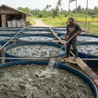 Ilustrasi Budidaya Ikan Lele/Gemini AI