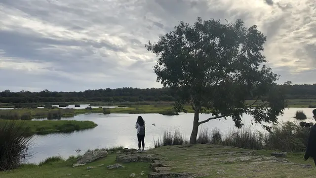 Taman Nasional Yanchep, Australia Barat