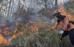 Hujan Deras Belum Cukup Padamkan Kebakaran Arjuna Welirang