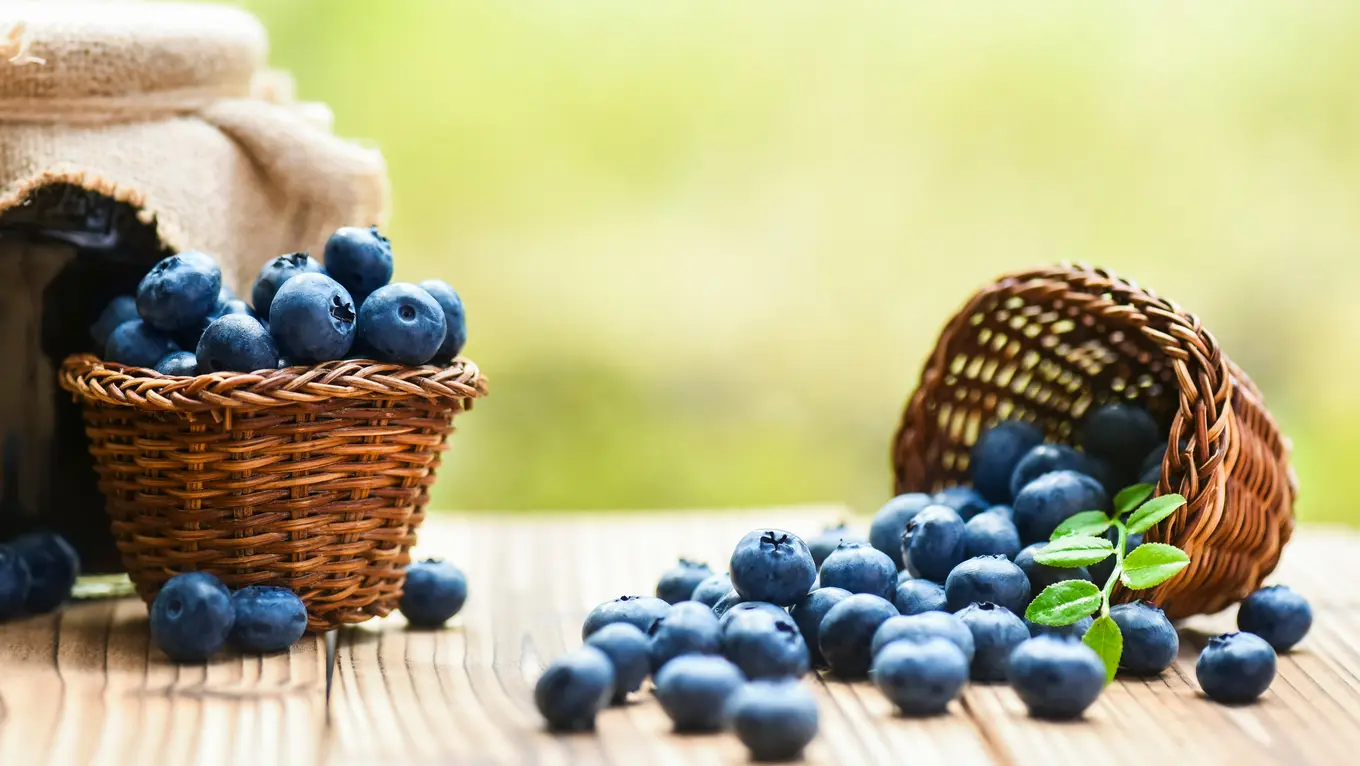 Wajib Tahu, Ini 5 Manfaat Buah Blueberry untuk Kesehatan Food