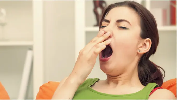 Foto: Copyright Shutterstock.com