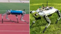 Robot anjing yang memecahkan rekor lari tercepat. (Dok: Guinness World Records)