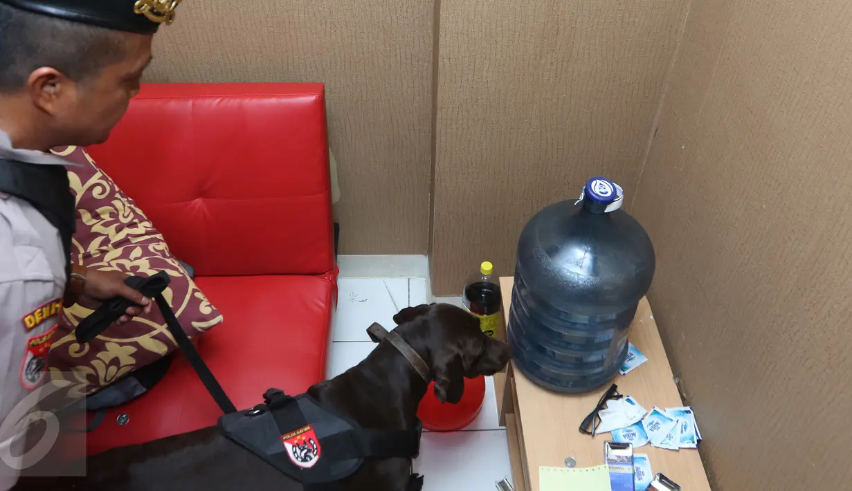 Petugas Polres Jaksel menggunakan anjing pelacak menyisir salah satu sudut ruangan kamar Apartemen Kalibata City, Jakarta, Kamis (25/2). Razia digelar dalam rangka mengantisipasi peredaran dan penyalahgunaan narkoba. (Liputan6.com/Herman Zakharia)