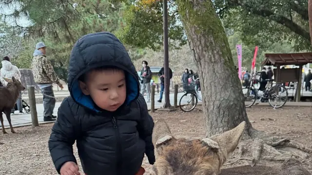 Potret Ganteng Elhanan Lasroha Anak Sammy Simorangkir dan Viviane (instagram/sammysimorangkir, instagram/viv_viviane)