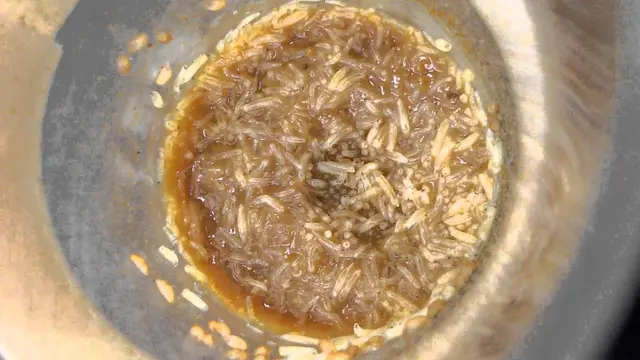 Larva Ternyata Bisa Jadi Sumber Protein Untuk Ganti Daging