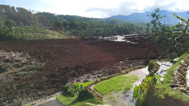 Tebing Setinggi 15 Meter Longsor di Brebes, 14 Petani Hilang