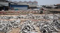 KKP Bakal Bangun 55 Industri Pengolahan Ikan di Maluku