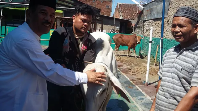 Umuh Muchtar, tak pernah putus berkurban di Idul Adha sejak 1973. (Bola.com/Erwin Snaz)