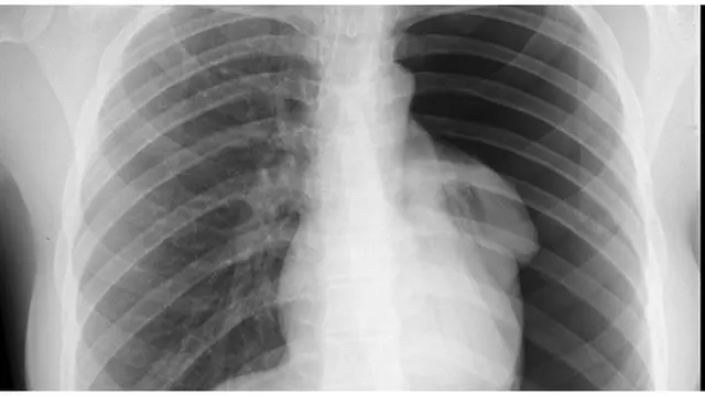 Foto: copyright philosophyinaction.com