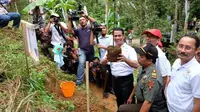 Hutan Durian Terluas Indonesia Berada di Kabupaten Trenggalek