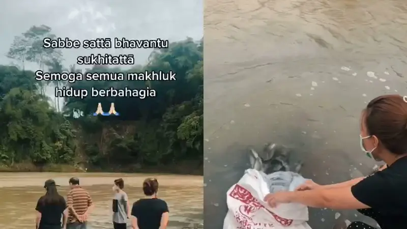 Sebuah keluarga lepas ikan lele ke sungai habitat aslinya.