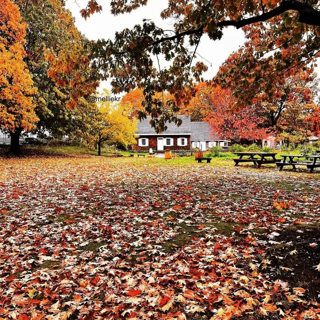 6 Fakta Unik Wyckoff House Gedung Tertua di New York, Ditetapkan Sebagai Landmark