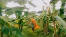 Dalam pemotretan kali ini, pemilik nama lengkap Ni Made Laura Theux ini nampak menyatu dengan alam. Ia pun banyak menuai pujian dari warganet. (Liputan6.com/IG/laura_theux)
