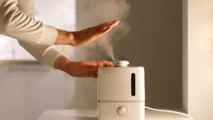 Cara Penggunaan Humidifier