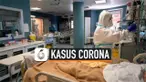 THUMBNAIL CORONA