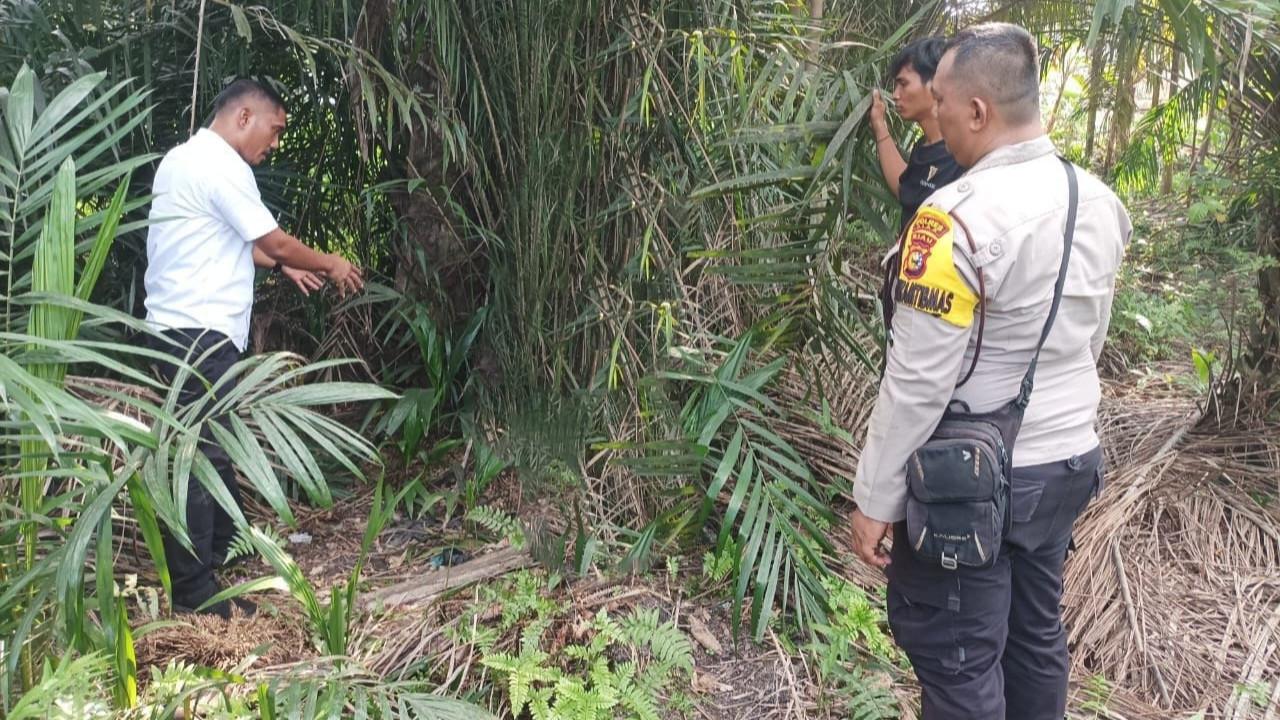 Personel Polres Siak melakukan olah tempat kejadian perkara di lokasi siswi SMP mengalami kekerasan seksual dari 6 remaja.